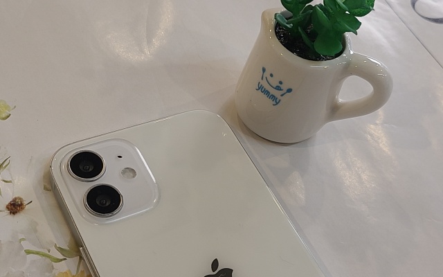 대표 이미지 1